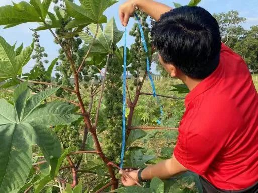 京華化工團隊赴武漢與斯里蘭卡Pearlead International (Pvt) Ltd公司代表交流調研