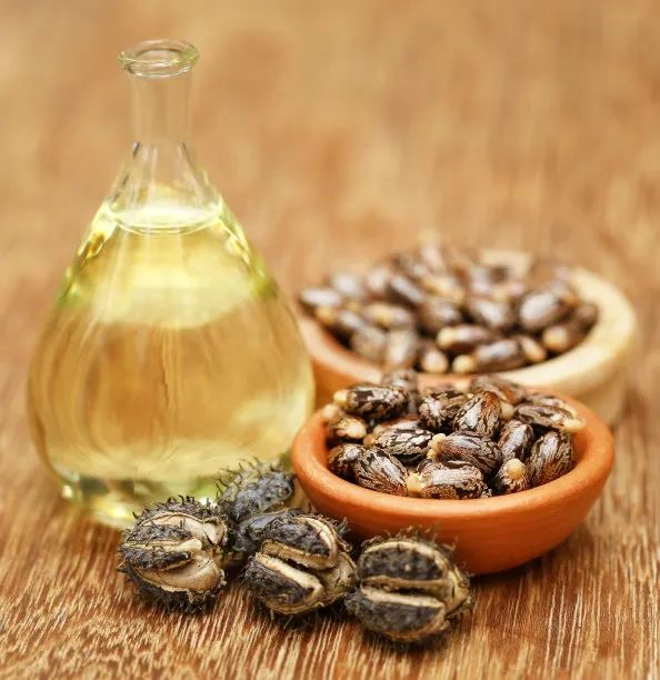 可國產(chǎn)的生物基尼龍PA10T，自帶環(huán)保目標下的流量光環(huán)