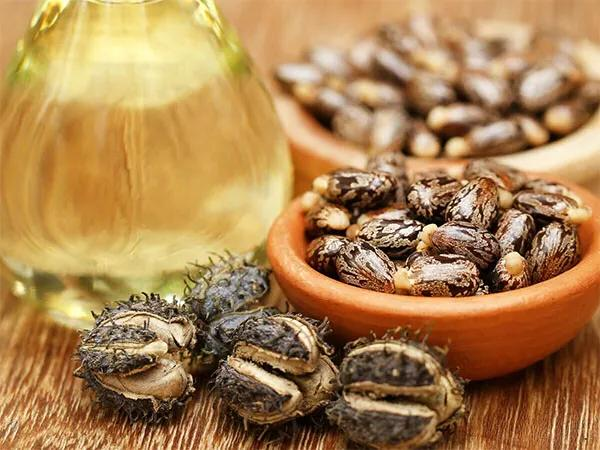 巴斯夫、贏(yíng)創(chuàng  )等化工巨頭新生物基材料布局